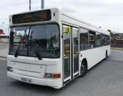 Globe Coaches