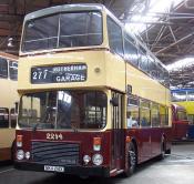 Preserved Dennis Dominator