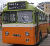Halifax Joc Leopard