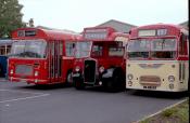 Bristol Line Up