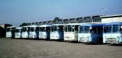 Line Up Of Italian Coaches