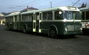 Turin Articulated Bus