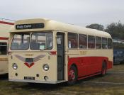 Leyland Tiger Cub