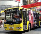 Bangkok Buses.feb. 2011