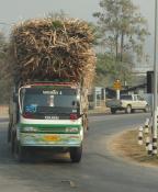 Thai. Truck And Drag.feb.2011.
