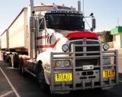 Waiting to load grain.march 2011.