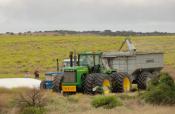 Flinders Farmer,s. S.A.march 2011.