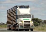 Volvo Heading East.Eyre Hi-way.march 2011.