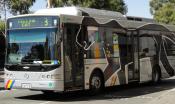 Yellow Cat. Free Tourist Bus.Perth. April 2011.