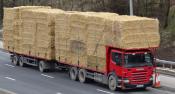 Hartshead. M 62.[West].19-3-2013.