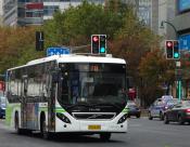 Shanghai Coaches.28-11-2019