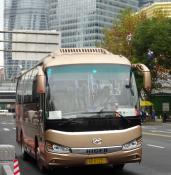 Shanghai Coaches.28-11-2019