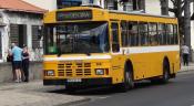 Madeira Island.tourist Buses /coaches. 5-11-2014.
