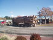 Timber Truck