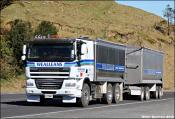 Wealleans Bulk Transport Daf Cf85-510