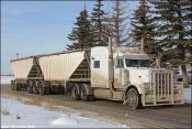 Bickner Trucking Peterbilt 389