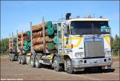 Satherly Logging Kenworth K104