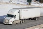 Ayr Motor Express Freightliner Cascadia