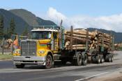 Watchorn Transport Western Star