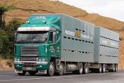Progress Transport Freightliner Argosy