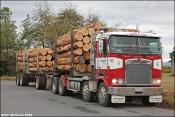 Efreight Logging Kenworth K104b