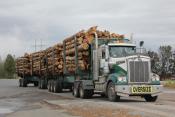 Rotorua Forest Haulage Kenworth T904