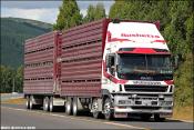 Bushetts Transport Isuzu Cyj