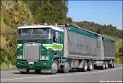 Freight Lines Kenworth T404