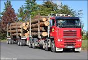 Matene Tranzport Freightliner Argosy