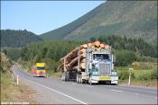 Rotorua Forest Haulage & Kellex Contracting