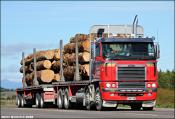 Honeycombe Log Transport Freightliner Argosy