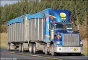 Td Haulage Kenworth T800w