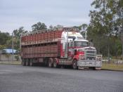 Kenworth Cattle Truck