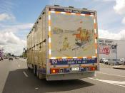 Hino Horse Box From The Rear