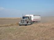 Peterbilt With Grain Trailer