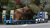 Tony Rozendaal Heavy Haulage,kenworth K100e