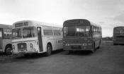 United sedgefield - ordered By Wilkinsons