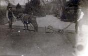 Horse Drawn Lawn Mower