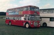 Buses 1986