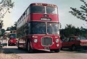 Buses/coaches