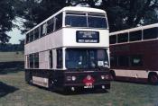 Buses/coaches
