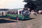 Buses/coaches