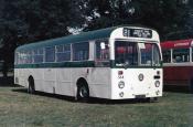 Buses/coaches