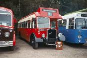 Bus/coach