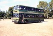 Bus/coach