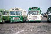 Bus/coach