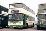 Bus/coach