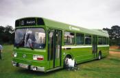 Bus/coach