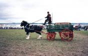 Traction Engines (steam Power)