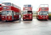 Bus/coach